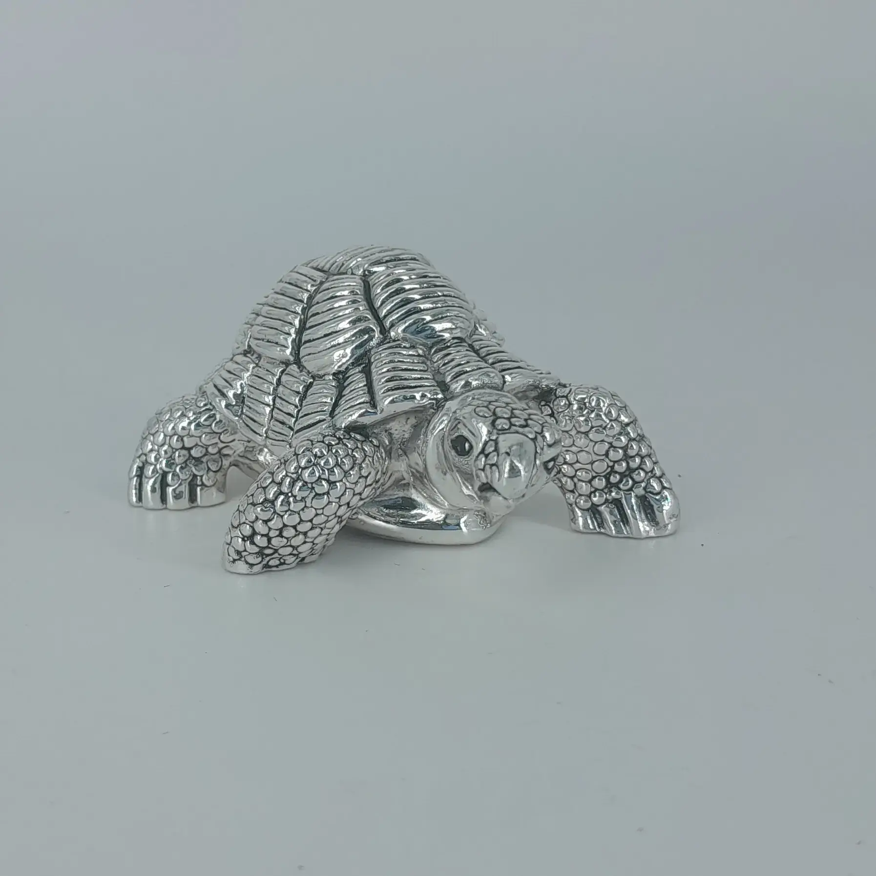 999 Silver Tortoise