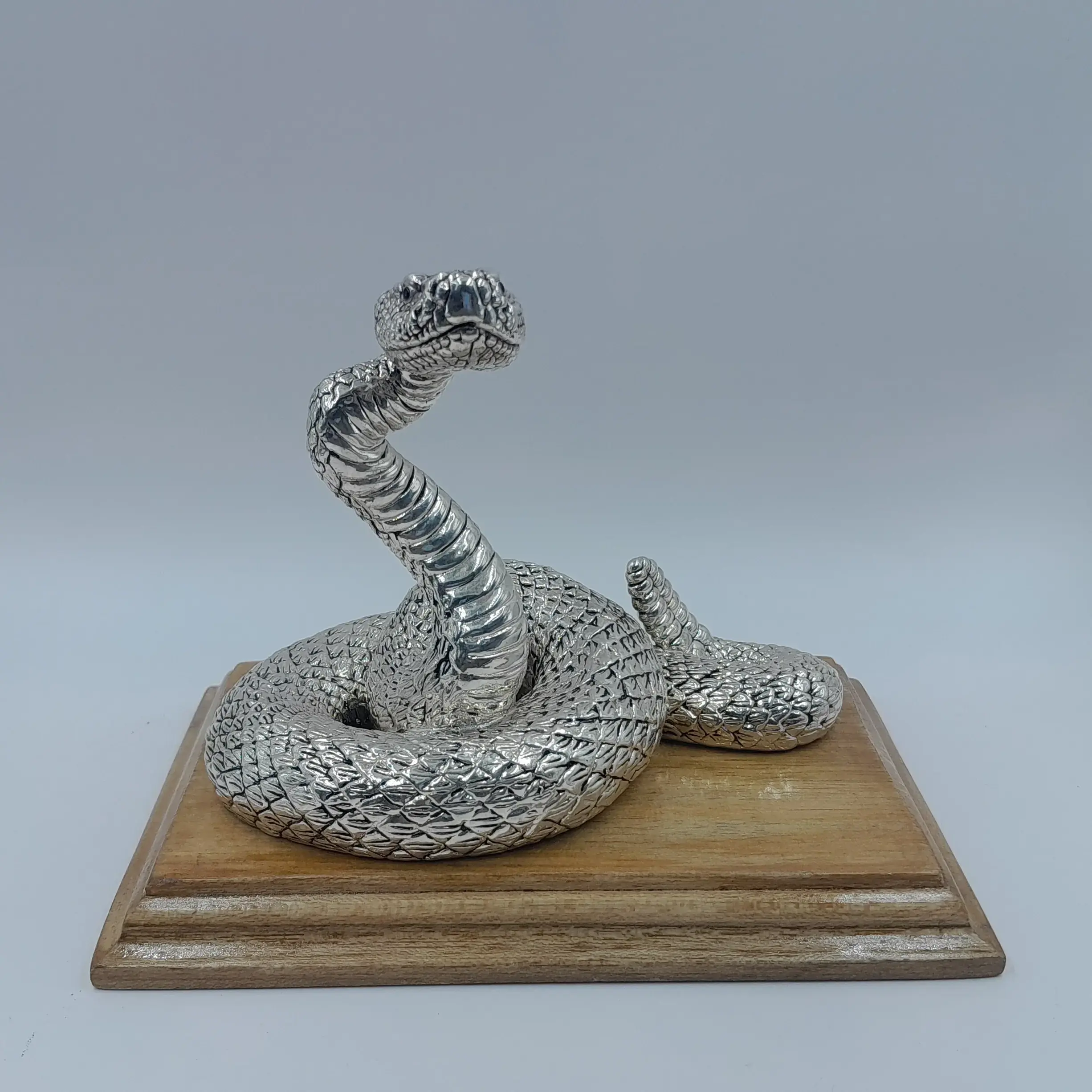 999 Silver Snake