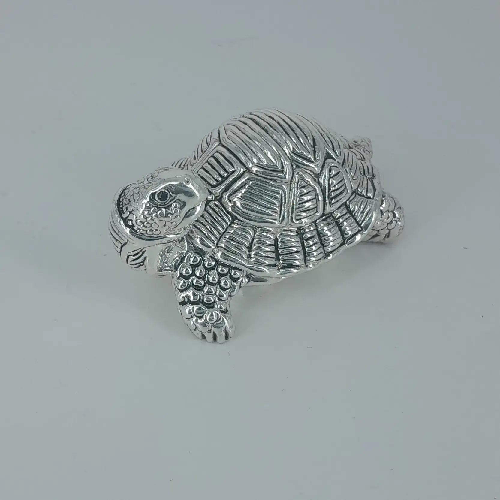 999 Silver Tortoise