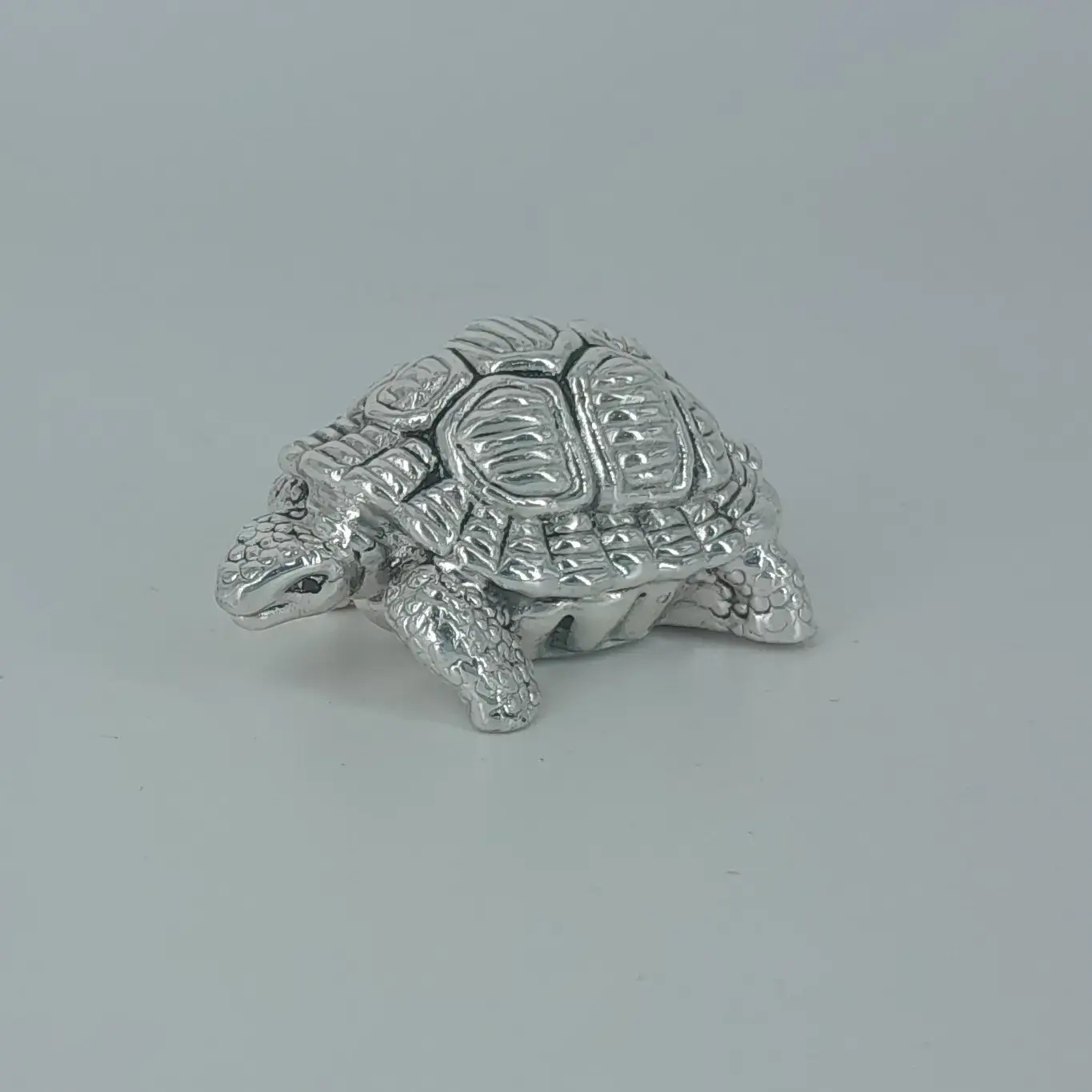 999 Silver Tortoise