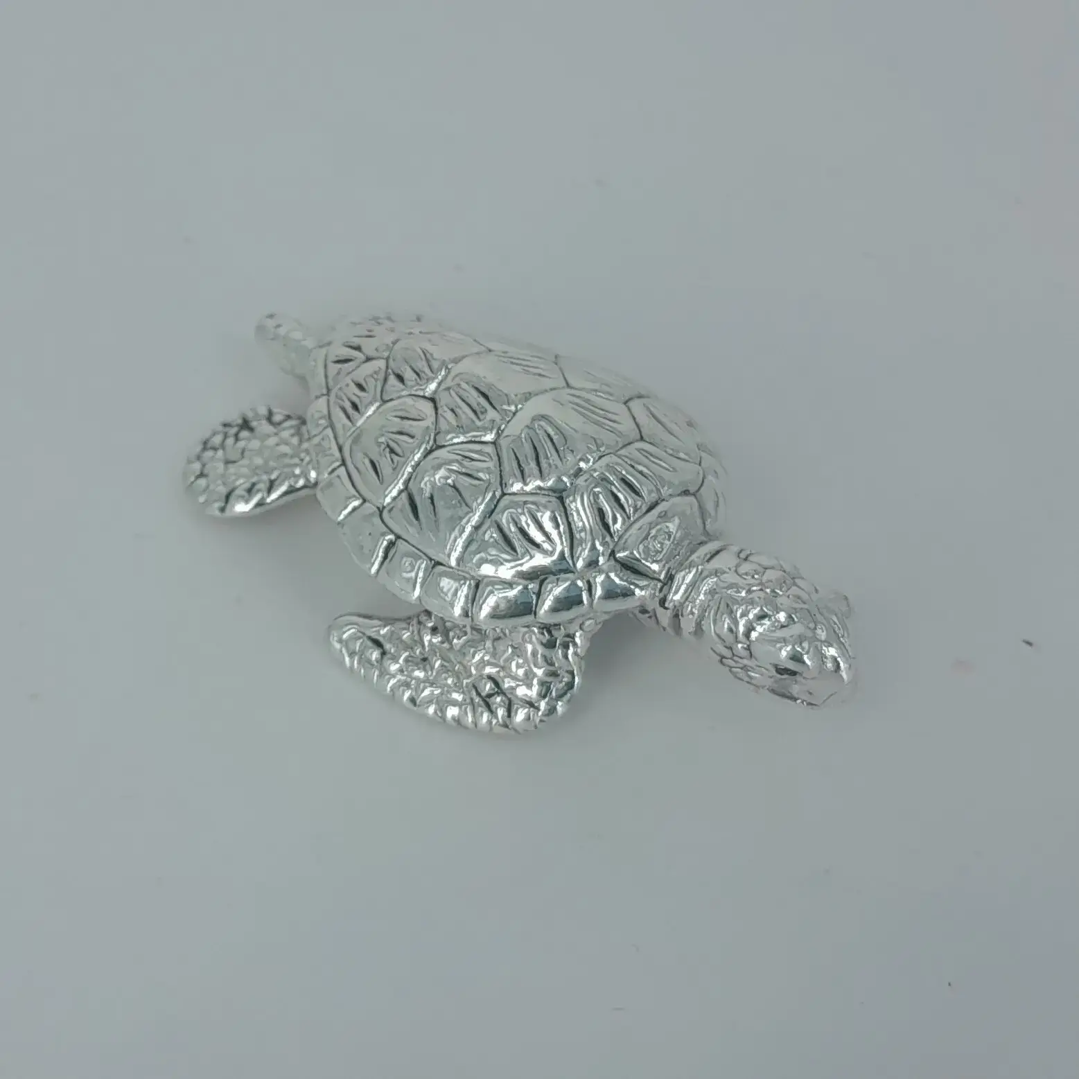 999 Silver Tortoise